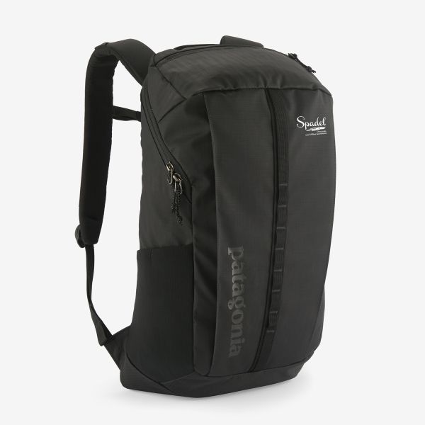 Patagonia Black Hole25 L Black